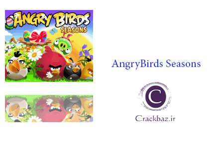 کرک بازی AngryBirds Seasons